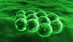 Science Report: Cum să vă feriți de coronavirus în avioane: uitați de măști, spune un medic competent