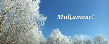 Puterea recunoștinței și a cuvântului „Mulțumesc”