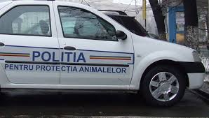 100 de candidați pe 4 posturi la Poliția Animalelor