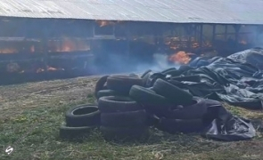  O fermă a luat foc: Cel puțin 70 de vaci au murit carbonizate