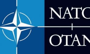 Angajament ferm al țărilor NATO. Declaraţia în 5 puncte a Summit-ului de la Haga, semnată de 32 de şefi de stat şi de guvern 