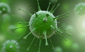 Coronavirus: reinfectarea, infinit mai periculoasă și fatală