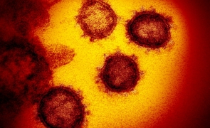 DOCUMENT Totul despre certificatul digital COVID: Ce date trebuie că compeletezi pe platforma certificat-covid.gov.ro / Certificatele de vaccinare vor fi valabile un an, iar cele de vindecare 180 de z