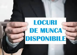 SC DIMOBEX SRL angajeaza Muncitor necalificat