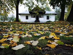  Proiecte culturale de peste 167.000 de euro la Botoșani