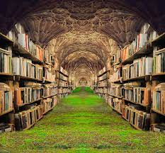 Biblioteca Akasha, misterul universal al cunoașterii