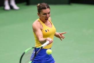 Britanicii au publicat predictiile pentru 2020: Pe ce loc va incheia Simona Halep si ce Grand Slam va castiga