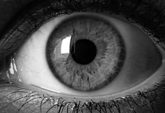 Operația care va schimba lumea: Medicii din Italia au făcut primul implant de retină artificială care redă vederea celor pe care să orbească
