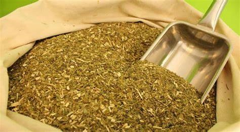 Cum te ajuta Yerba Mate