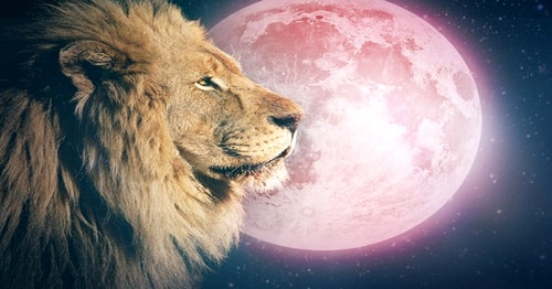 FOTO/VIDEO - Patru lucruri de făcut la Luna Plină în Leu pentru a avea succes deplin