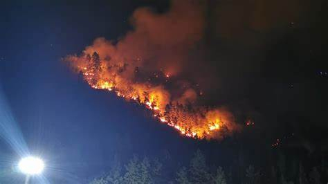 Circa 35 de hectare de pădure, afectate de incendiul de la Oituz