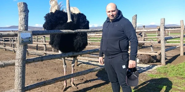 Câmpul cu struți africani de la Bacău, un business de succes, început cu o investiție de 50.000 euro. Cât costă produsele fermei