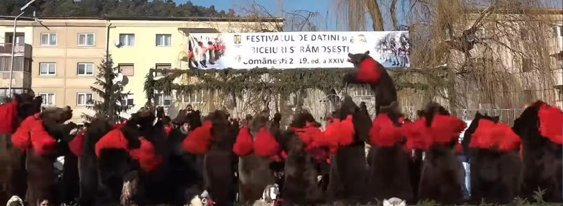 Urșii de la Comănești au ieșit în stradă