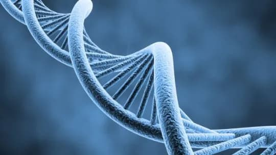 Fericirea, bucuria, inspiraţia, recunoştinţa şi rugăciunea pot activa gene benefice