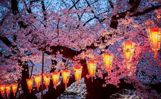 GALERIE FOTO - Cele mai frumoase imagini cu cireșii înfloriți din Japonia. În acest an copacii au înflorit mai devreme