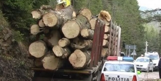 Doi activiști de mediu au găsit un camion plin cu lemne în curtea unui post de poliție