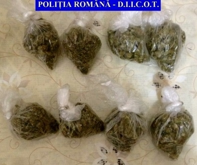 Traficanţi de cannabis, arestaţi la domiciliu