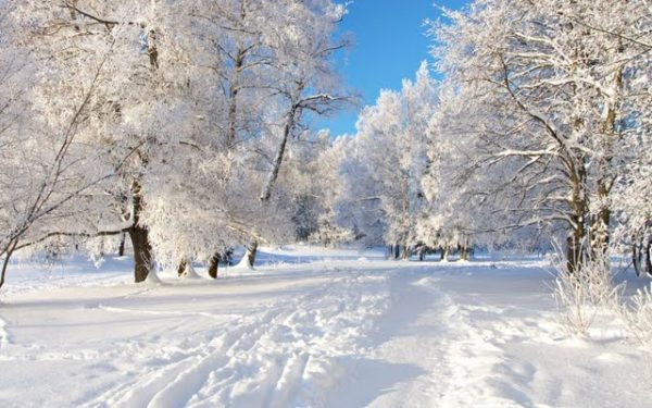 România se va muta în zona subtropicală. Dispar zăpezile!