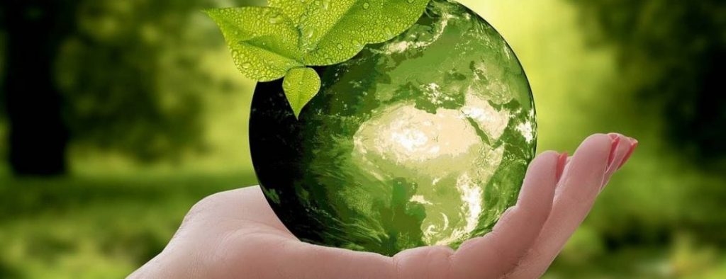 5 iunie, Ziua mondială a mediului înconjurător
