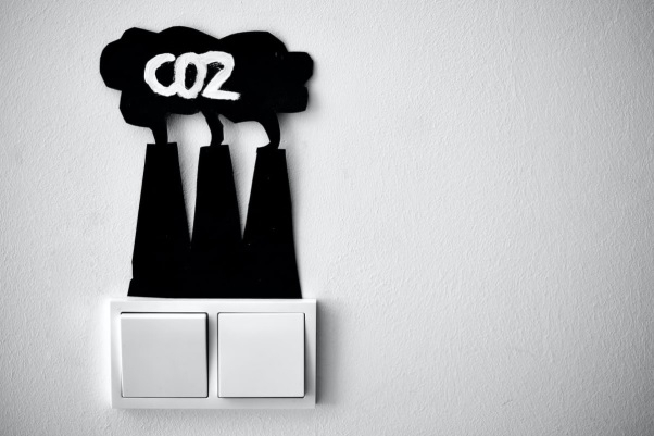 Amprenta de carbon și efectele activității companiei tale asupra mediului înconjurător