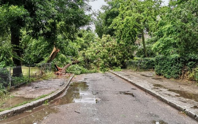 Furtună la Galați. 70 de copaci au fost rupți de vânt