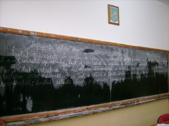 Tataru spune ca scolile s-ar putea redeschide la sfarsitul lunii mai - inceputul lunii iunie