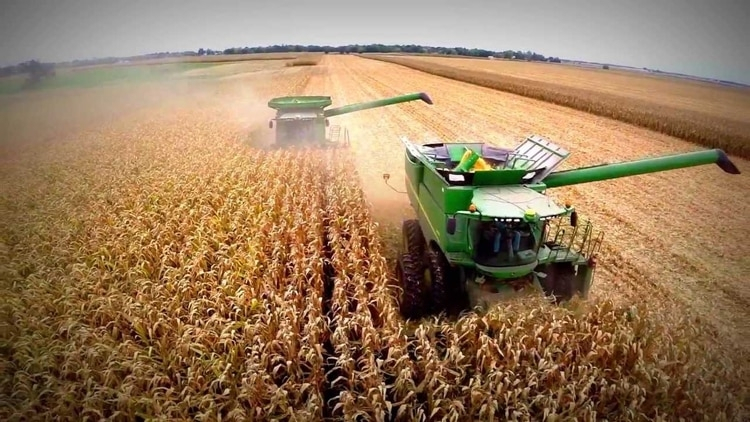 Dezastru în agricultura Vasluiului