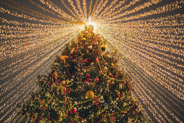 ”Războiul pomilor de Crăciun”: Municipiul Suceava egalează recordul Brașovului / În Moldova va fi adus un molid de  29 de metri de la Ocolul Silvic Breaza
