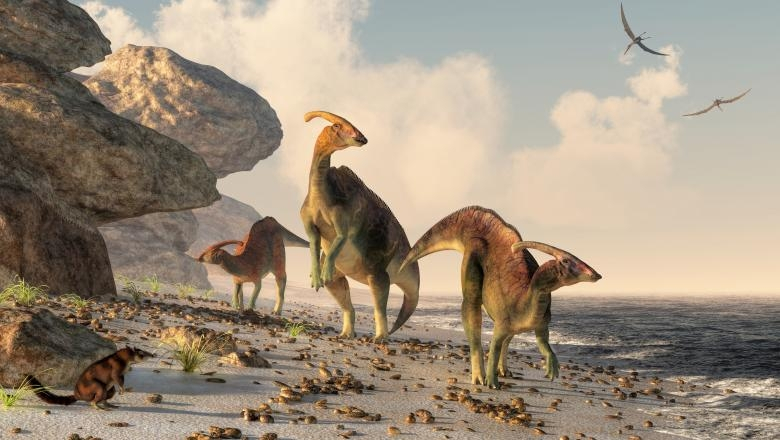 Boala veche de 66 de milioane de ani care afectează omenirea astăzi. A fost descoperită într-o fosilă de dinozaur