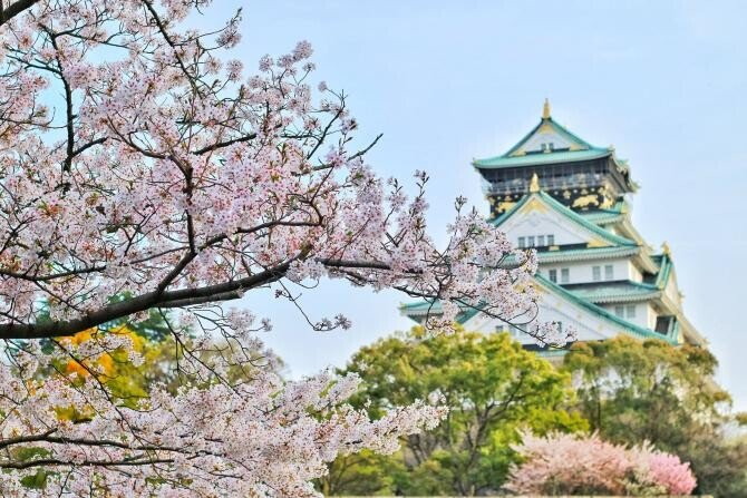 GALERIE FOTO - Cele mai frumoase imagini cu cireșii înfloriți din Japonia. În acest an copacii au înflorit mai devreme