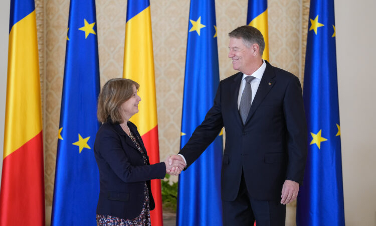 Ambasadoarea Americii la Bucureşti atacă regimul Iohannis în chestiunea libertăţii presei
