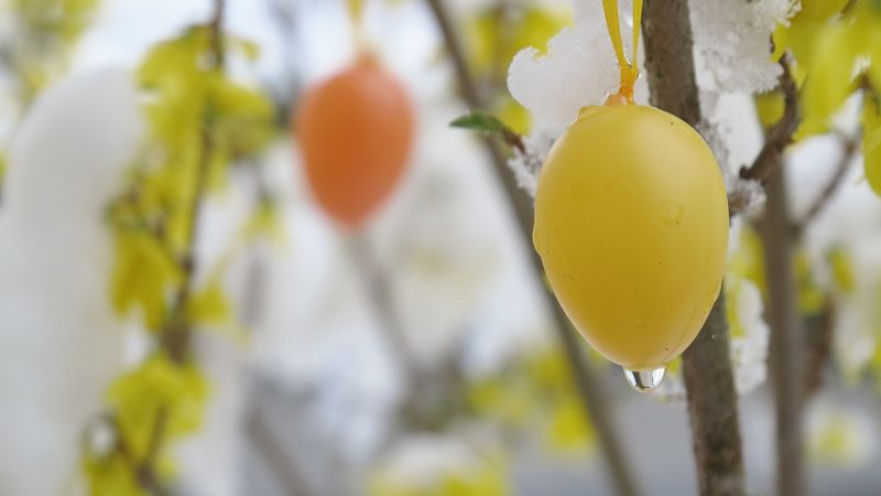 Cum va fi vremea de Florii și de Paște. Ce spun meteorologii