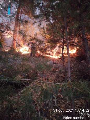Pădurea de la Oituz arde de 30 de ore!