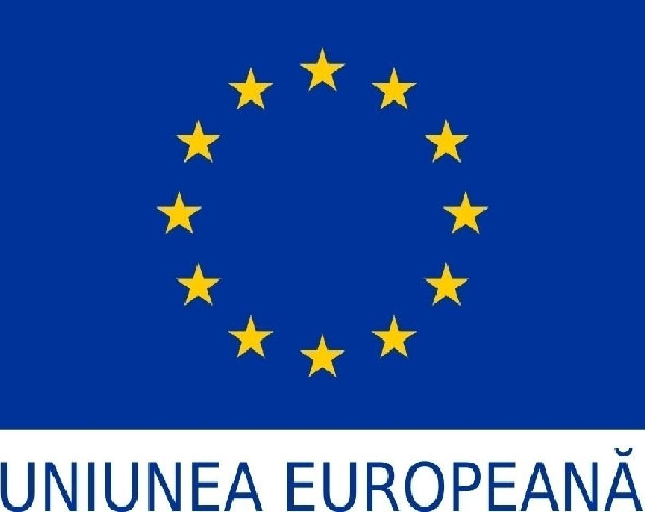 COMUNICAT DE PRESĂ  23.05.2025 Transformarea digitală a societății ROMENERG ENERGIE S.R.L. Iași orientată către creșterea intensității digitale
