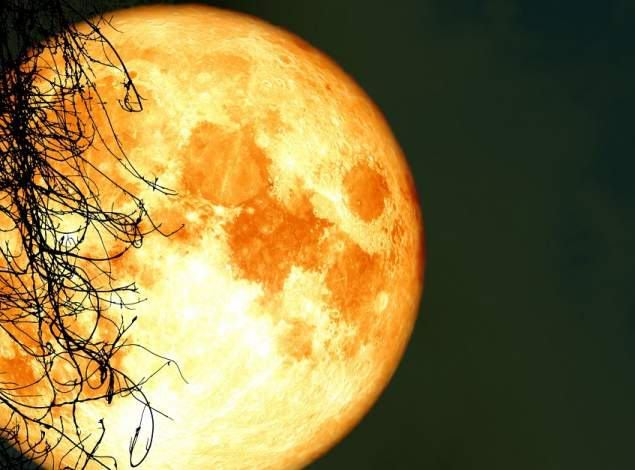 Luna Plină în Pești, 21 septembrie. Dezvăluiri interesante pentru toate zodiile