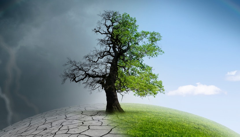 Schimbările climatice sunt un pericol 