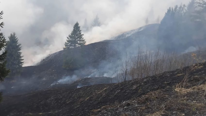 Pârjol în comuna părintelui Justin Pârvu. Șapte hectare de vegetație au fost distruse de foc