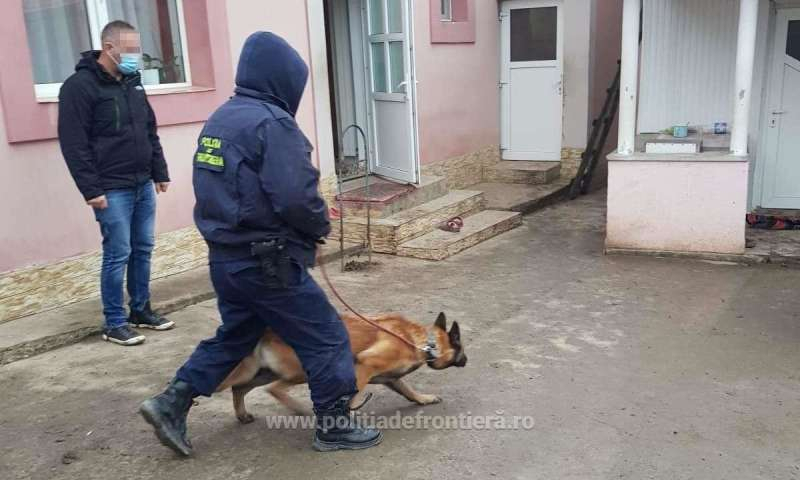 28 de percheziții la contrabandiștii de țigări din Botoșani