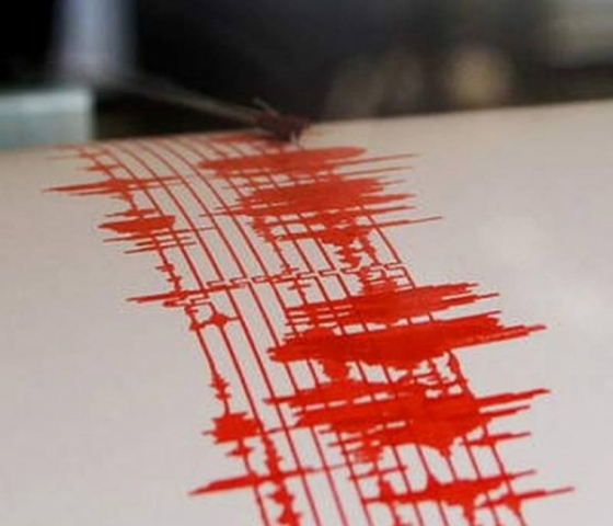 INFP: În orice moment se poate produce un cutremur cu magnitudine mai mare de 7 în zona seismică Vrancea 