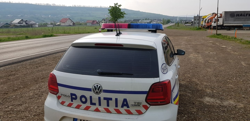 Material lemnos confiscat de polițiști 