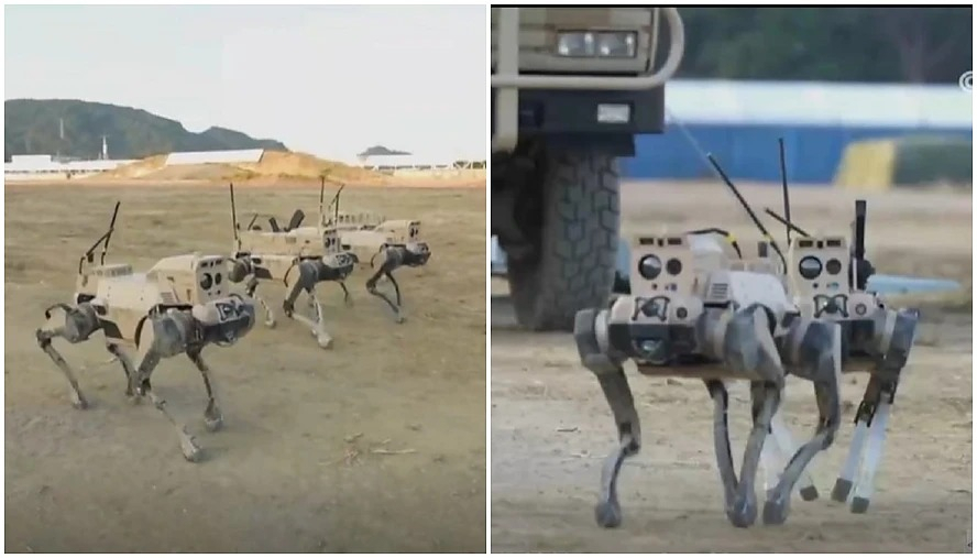 China prezintă lupi roboți ucigași. Beijingul conduce cursa armelor care pot înlocui soldații