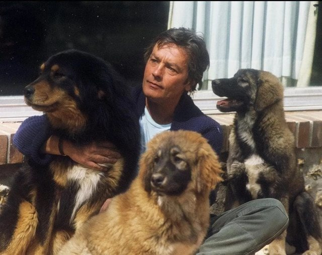Alain Delon: Câinii mei nu m-au dezamăgit niciodată / Două gesturi uriașe făcute de actor pentru animalele nimănui