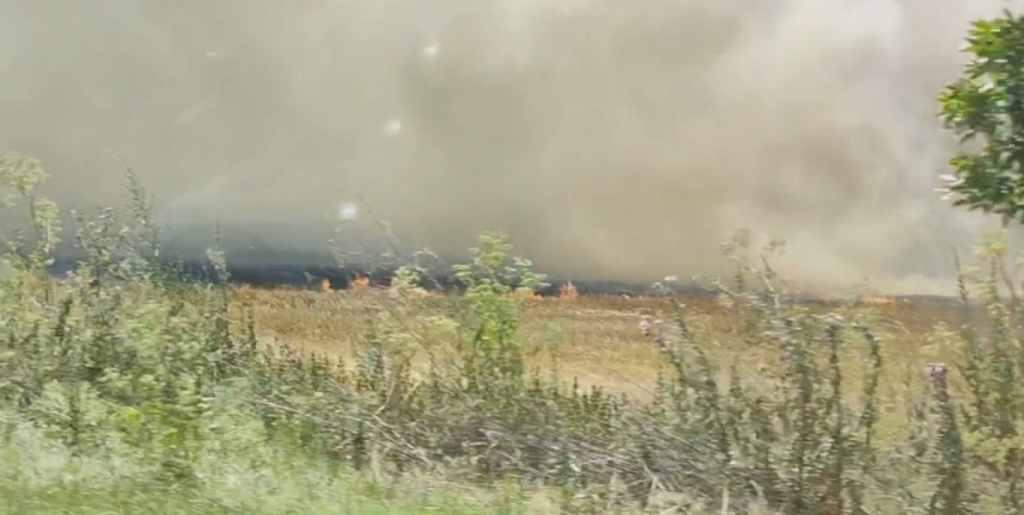 Incendiu de proporţii în Vaslui - Au ars 12 hectare de grâu şi 20 de hectare de vegetaţie uscată şi literă
