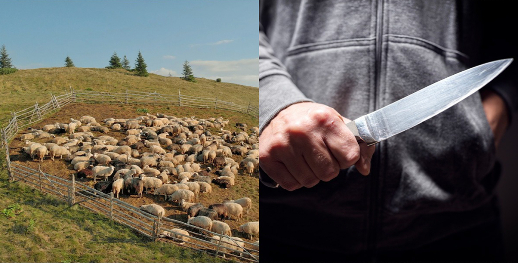 După un omor şi alte două tentative, ciobanul asasin vrea în libertate