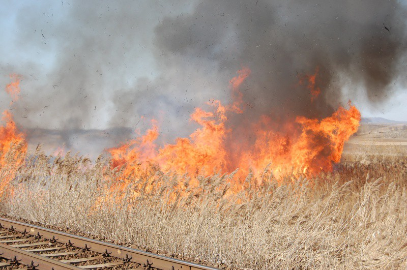 Autoritățile, în alertă din cauza incendiilor de vegetație
