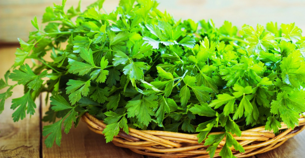 Terapii complementare - Pătrunjelul detoxifică organismul