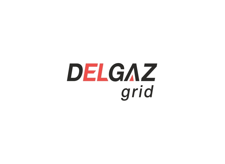 Delgaz Grid S.A., organizează în data de 31 octombrie 2023, licitaţie publică pentru vânzării următoarelor imobile: