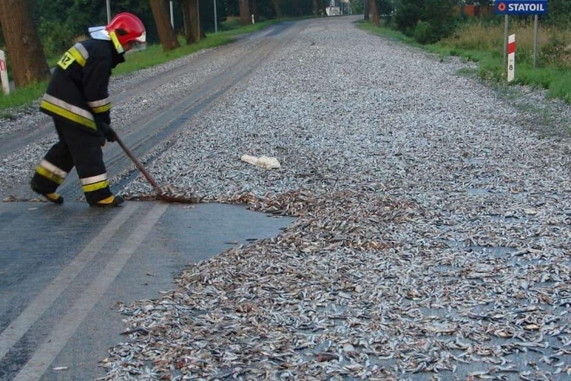 Locul unde „plouă cu pește” în fiecare an