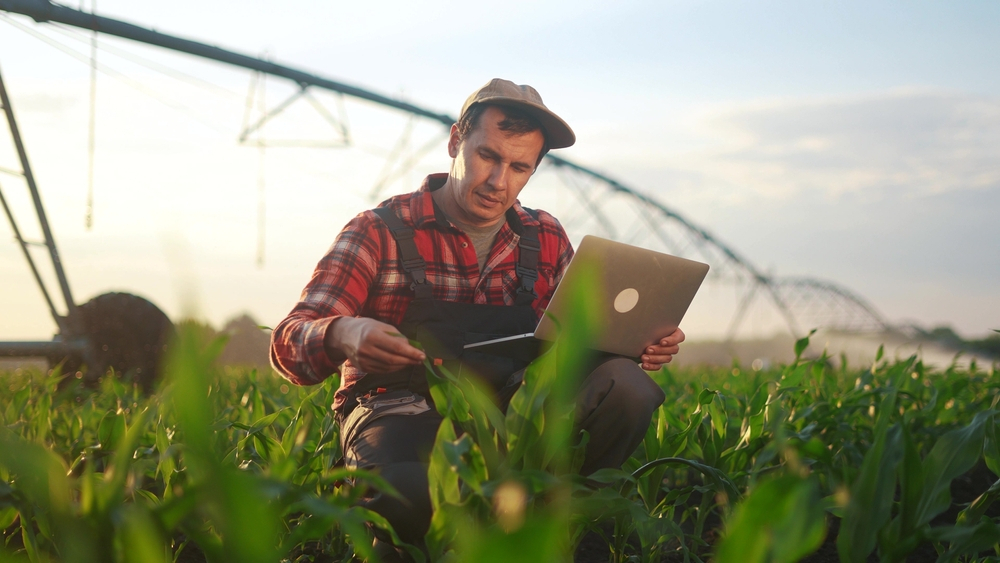 Ghidul fermierului modern - 5 idei de investiții care îți duc businessul din domeniul agricol la nivelul următor