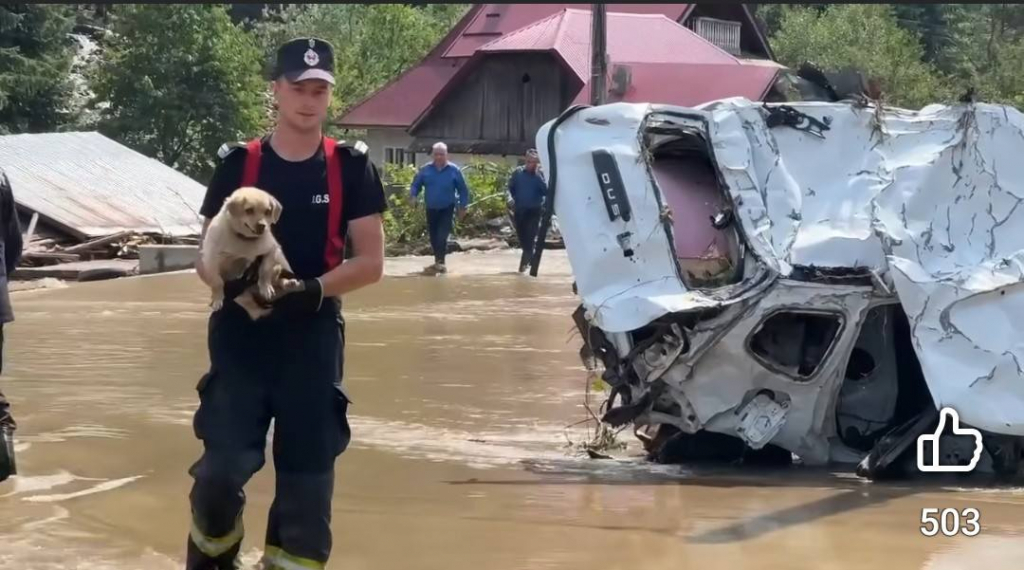 FOTO -- Apel umanitar -- Ajutor pentru Broșteni
